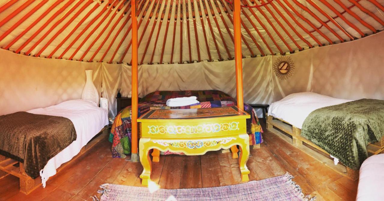 Bed and Breakfast Les Colombines Hombleux Exterior foto